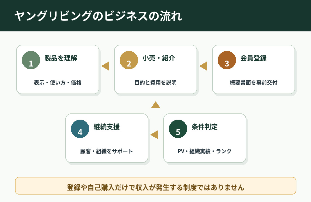 ヤングリビングの製品理解・小売紹介・会員登録・継続支援・条件判定の流れ